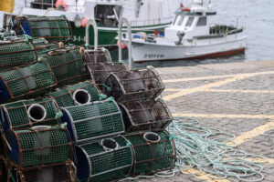 Where Can I Buy Maine Lobster If I Don’t Live in Maine?