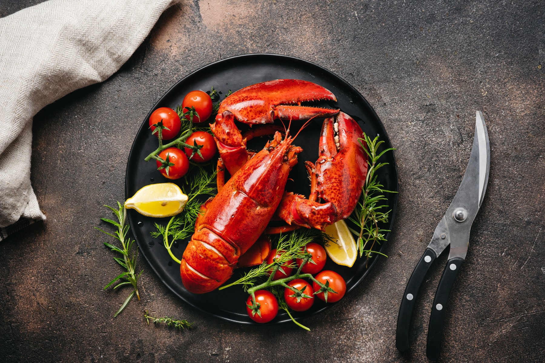 buy live lobster online