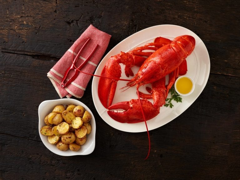 When is Maine Lobster Season? Klenda Seafood