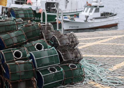 lobster traps