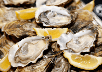 oysters